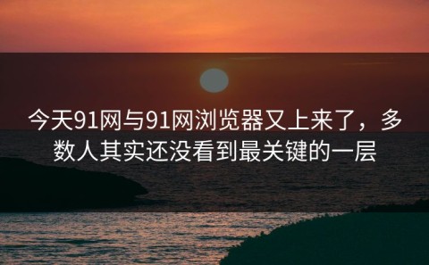 今天91网与91网浏览器又上来了，多数人其实还没看到最关键的一层
