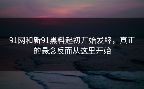 91网和新91黑料起初开始发酵，真正的悬念反而从这里开始