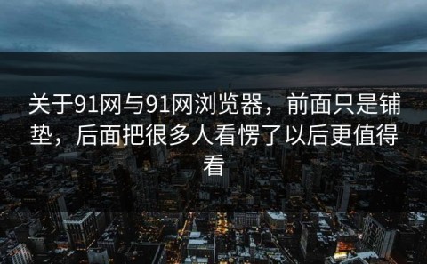 关于91网与91网浏览器，前面只是铺垫，后面把很多人看愣了以后更值得看