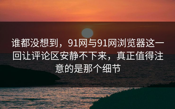 谁都没想到，91网与91网浏览器这一回让评论区安静不下来，真正值得注意的是那个细节