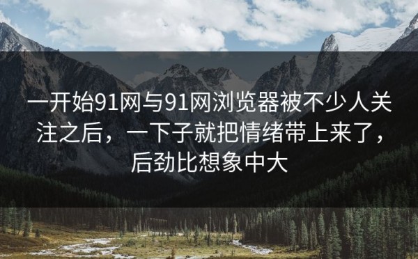 一开始91网与91网浏览器被不少人关注之后，一下子就把情绪带上来了，后劲比想象中大