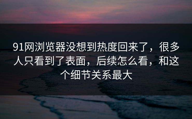 91网浏览器没想到热度回来了，很多人只看到了表面，后续怎么看，和这个细节关系最大